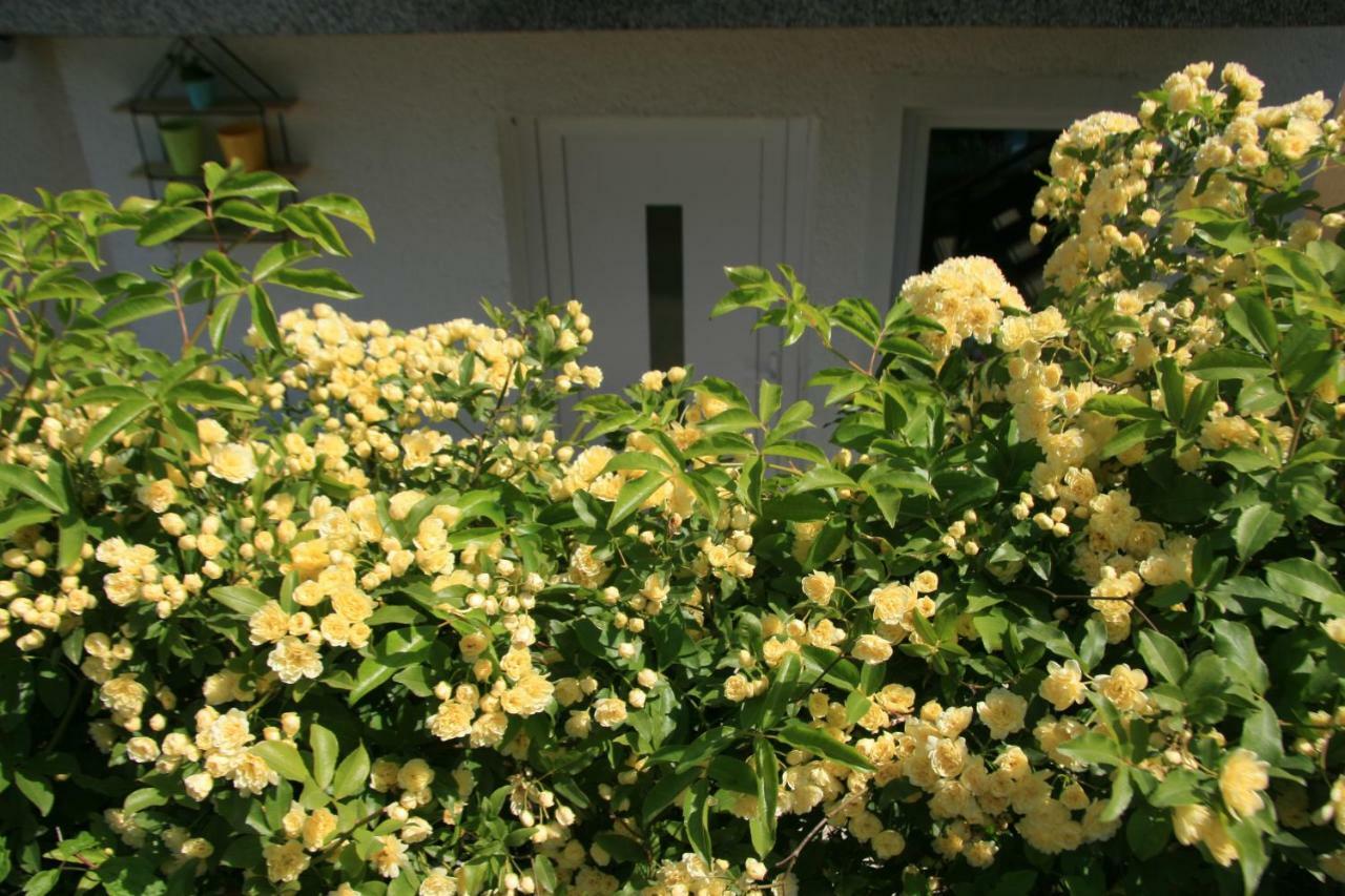 Apartma Tul Izola Exterior photo